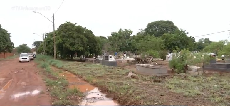 Primeiro cemitério de Palmas está sem muro, com entulhos e árvore crescendo em túmulo: ‘Está abandonado’