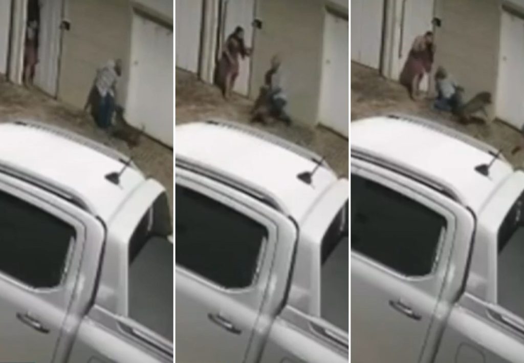 Veja o que se sabe sobre ataque de pitbull que deixou idoso gravemente ferido em Palmas