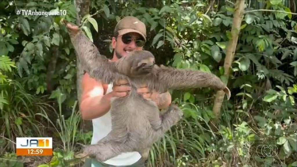 Influenciador ajuda bicho-preguiça a atravessar rodovia no Tocantins; VÍDEO